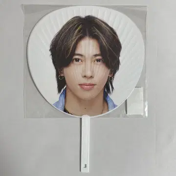 스에자와 세이야 점보 부채 데뷔 투어