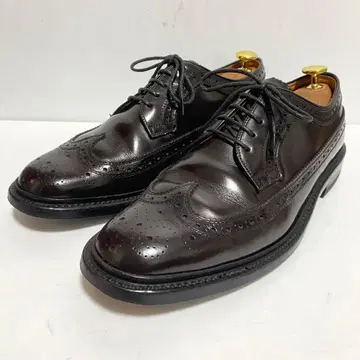 [새상품급] REGAL 2589 윙팁 외 날개 메달리온 24.5cmEE