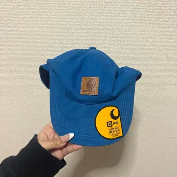 carhartt 캡