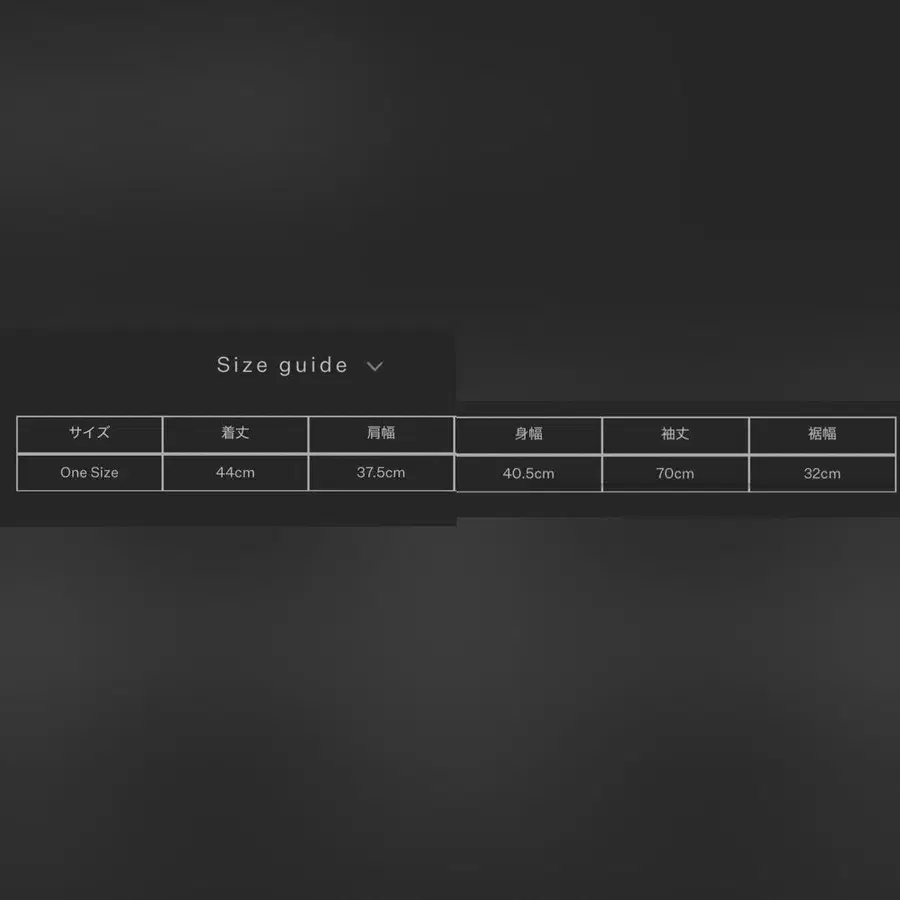 2번째 상품 이미지