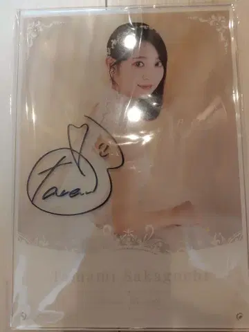 노기페스 사카구치 타마미 친필 사인 웨딩 보드
