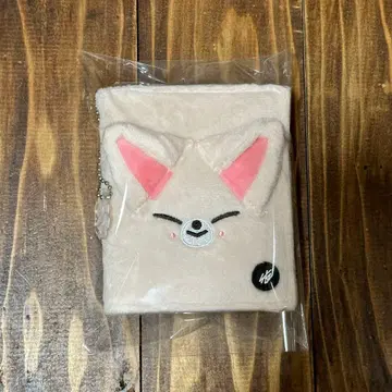 straykids 폭시니 사진 카드 케이스