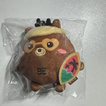 RIIZE 라이즈 솔우콘 MD 울트라백 성찬