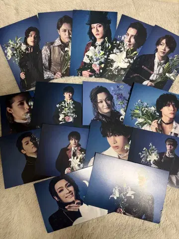 왕스테 창궁의 왕 엽서