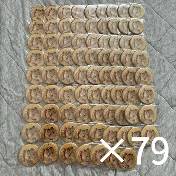 호시카와 사라 후쿠오카 캔뱃지