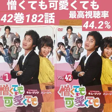 미워도 사랑해도 한국 드라마 DVD 전 172화 렌탈용 일본어 더빙 없음