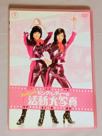 초레어 단종 DVD 핑크 레이디의 활동 대사진