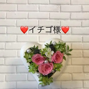 이치고님 모음 10점