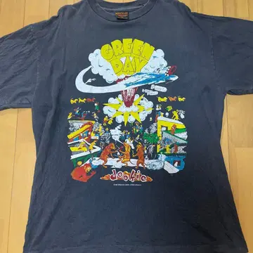 Green Day Dookie 투어 티셔츠 XL
