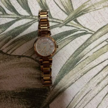 시티즌 XC ECO drive