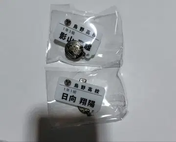 하이큐 참 포함 네임 배지 컬렉션 히나타 카게야마