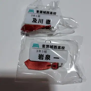 하이큐 참 포함 네임 배지 컬렉션 오이카와 이와이즈미