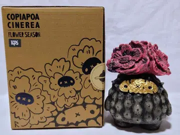 라본제작소 Copiapoa 흑왕환 꽃 Robinceramicstudio