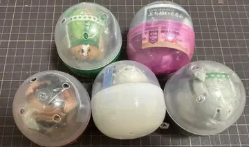 서러브레드 컬렉션 푸치 봉제 인형 2 가챠 풀 컴프