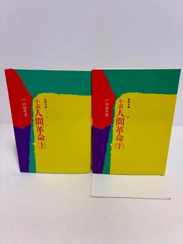 소설 인간혁명 상하의 세트