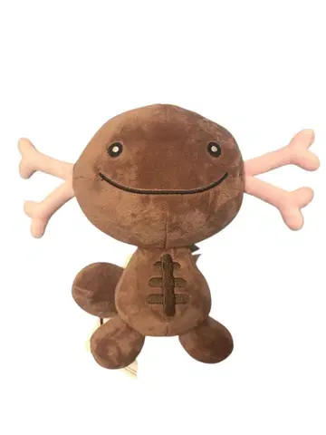 팔데아 우파