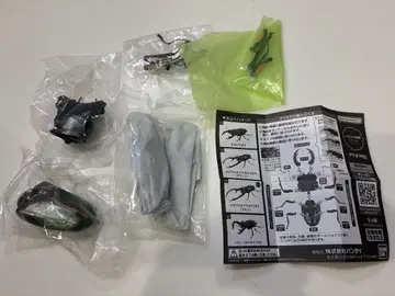 생물대도감 어드밴스 사슴벌레 02 에라프스호소아카사슴벌레 (그린)