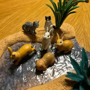 아니아 고양이 고양이 토끼 토끼 소동물