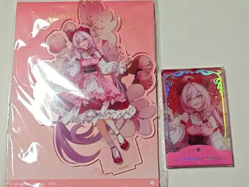 붕괴3rd 꽃 아침 봄 햇살 시리즈 엘리시아