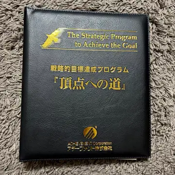 업적 정점으로 가는 길 전략적 목표 달성 프로그램