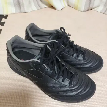 모렐리아 살라 엘리트 25cm