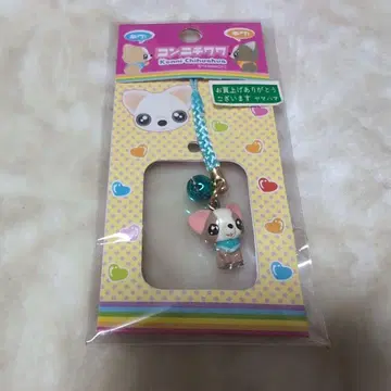 안녕하세요 치와와 스트랩