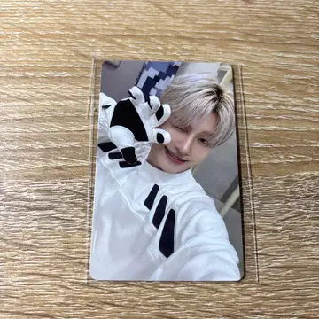 TWS 지훈 playhard weverse 럭키 드로우 트레이딩 카드