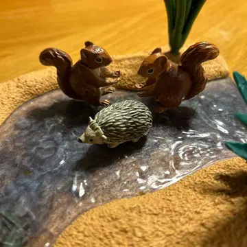 아니아 리스 고슴도치 다람쥐 쥐 단종