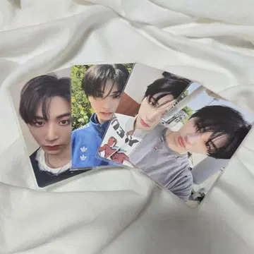boynextdoor 태산 hmv 럭키 드로우 트레이딩 카드