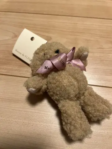 Maison de FLEUR 토이 푸들 참