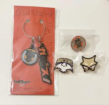 하이큐 키링 핀즈 카라스노 학교 휘장 합동 연습회 크로니클