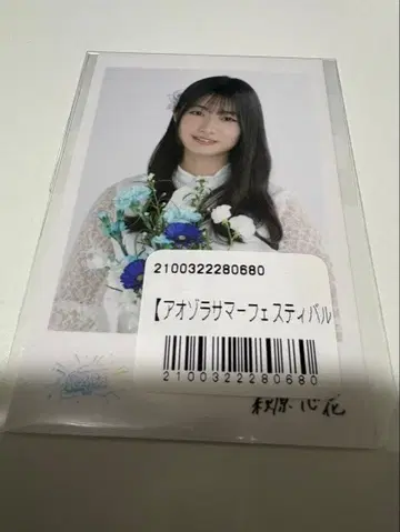 내가 보고 싶었던 파란 하늘 보쿠아오 하라카와 코코로 폴라로이드풍 카드