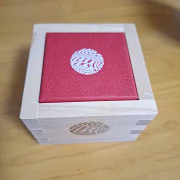 DWS 문 귀걸이