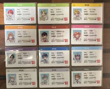 컬러풀 피치 학생증 파라피치 컴플리트