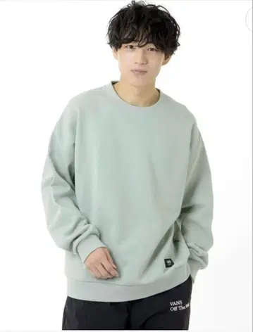 VANS 반스 세이지 그린 크루넥 트레이닝복