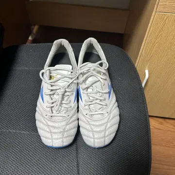 미즈노 모나르시다 네오 축구화