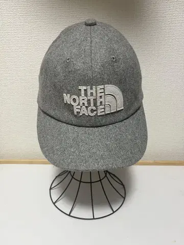THE NORTH FACE 캡