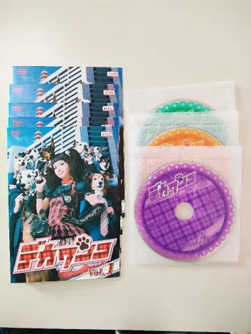 빅 완코 1-5권 DVD 타베 미카코 테고시 유야