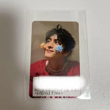 초특급 하루 트레이딩 카드