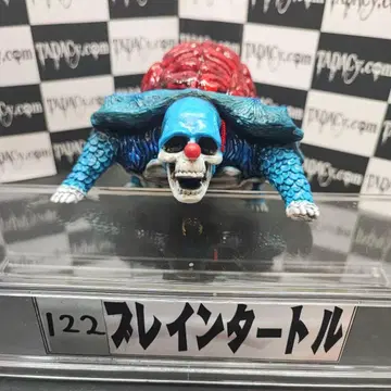 122 브레인 터틀