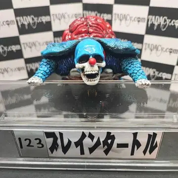 123 브레인 터틀