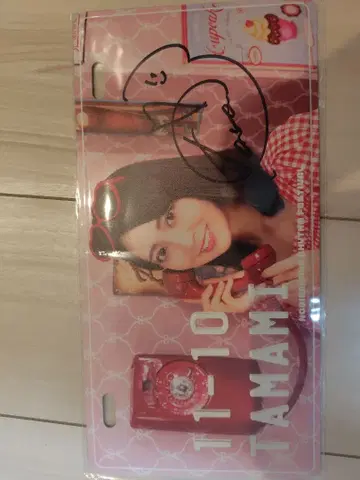 노기 페스 사카구치 타마미 오리지널 플레이트 친필 사인 포함