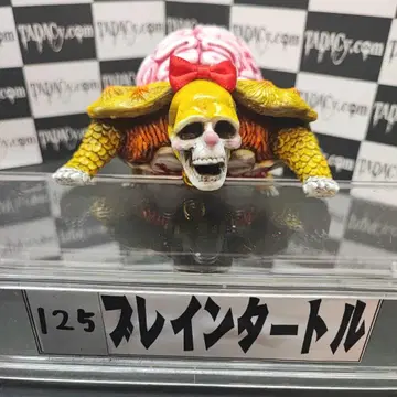 125 브레인 터틀