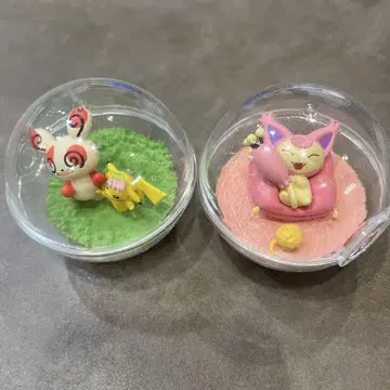 포켓몬 테라리움 HAPPY한 매일
