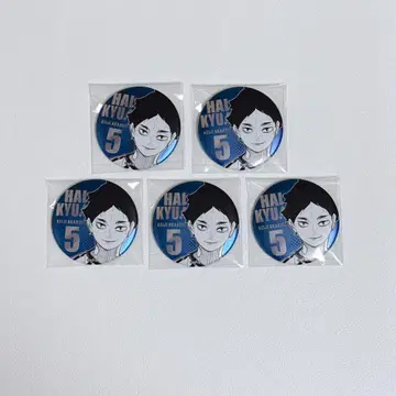 하이큐 데코레이션 캔뱃지 팬파크 아카아시