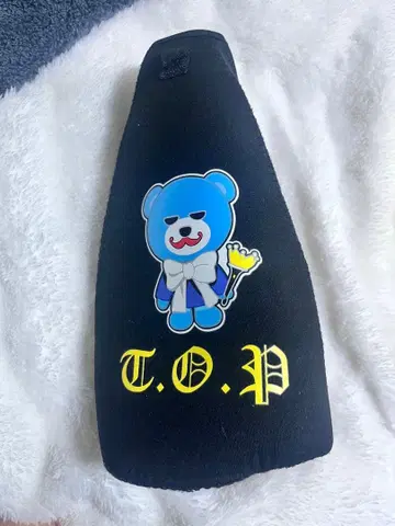 T.O.P 응원봉 케이스