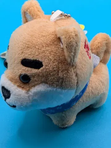 여행하는 마메시바마메타 x 사이고돈 키링 [ 가고시마 한정판 ]