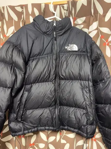 THE NORTH FACE 눕시 자켓 ECO