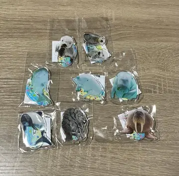 도바 수족관 아크릴 스탠드 가챠