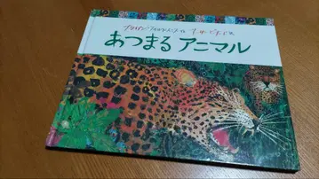 모이는 애니멀 그림책